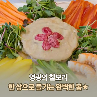 영광의 찰보리 한 상으로 즐기는 완벽한 봄★